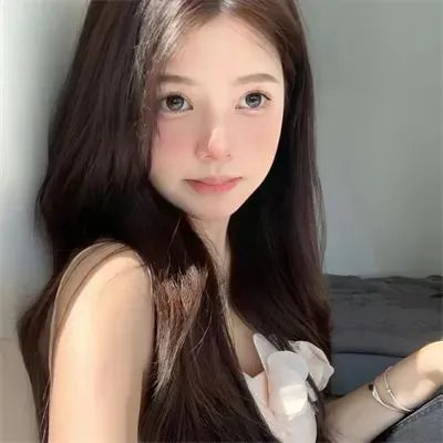 猫咪马汀