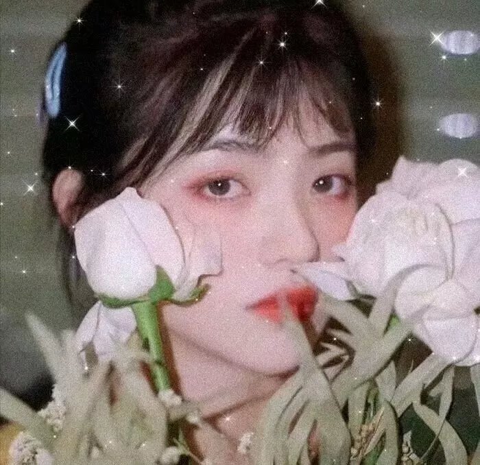 异常生物见闻录 特别篇